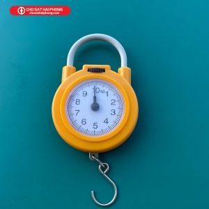 Cân đồng hồ mini loại 10kg